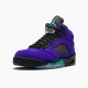 Jordan 5 Retro Alternate Grape 136027-500 Grape Ice/New Emerald-Sort Sko