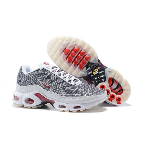 Air Max Plus Tn Grå og Hvid Mænd Sko