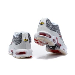 Air Max Plus Tn Grå og Hvid Mænd Sko